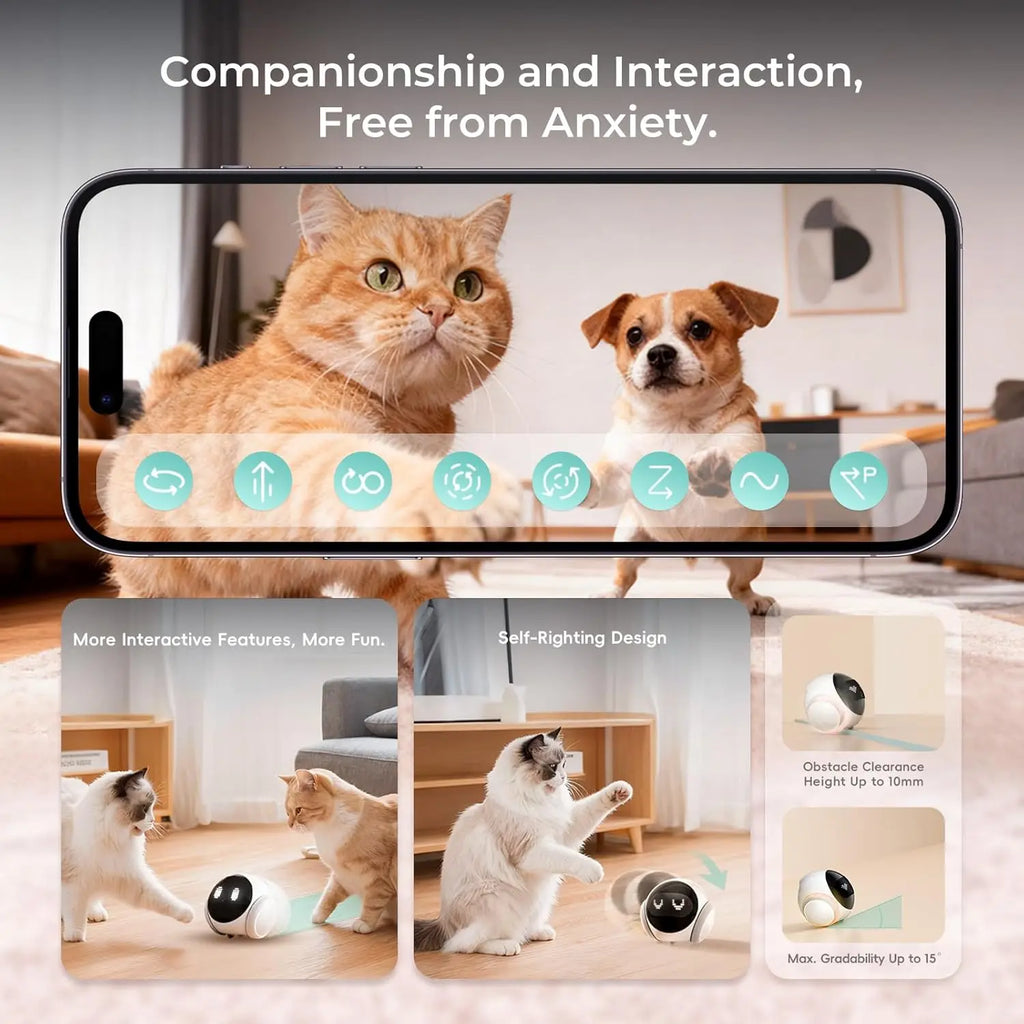 Smart Moving Pet Camera